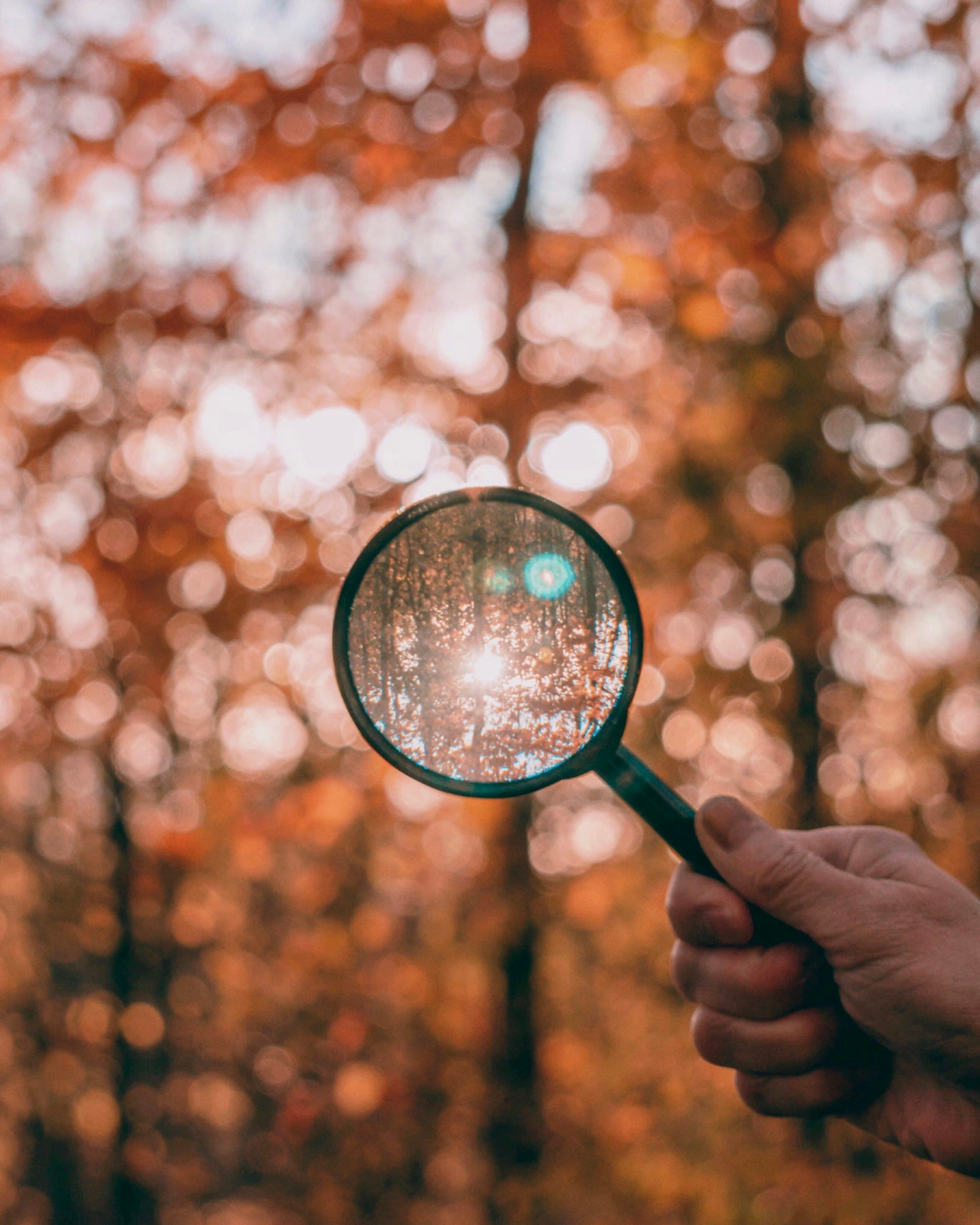 A magnifying glass held up against soft autumn light.